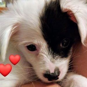 Meet your Posher, Alma